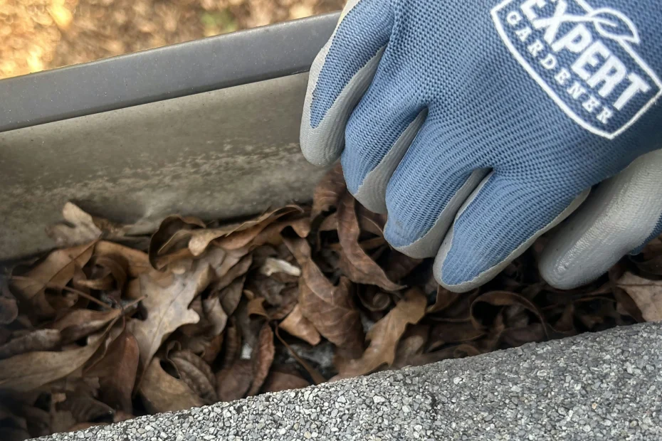 Gutter Cleaning Edgewood FL