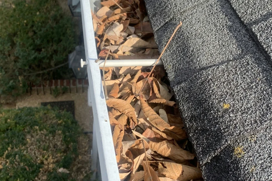 Gutter Cleaning Edgewood FL