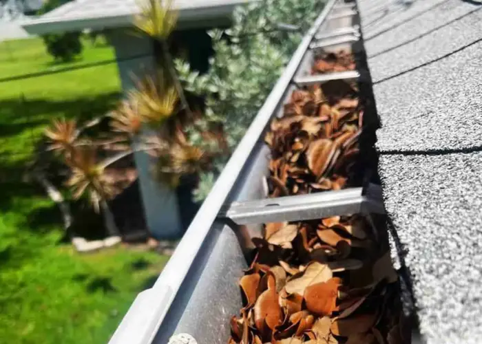 Gutter Cleaning Edgewood FL home page